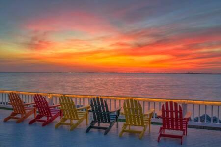 The Hemingway Subtropical Luxury On The Tampa Bay Βίλα Εξωτερικό φωτογραφία